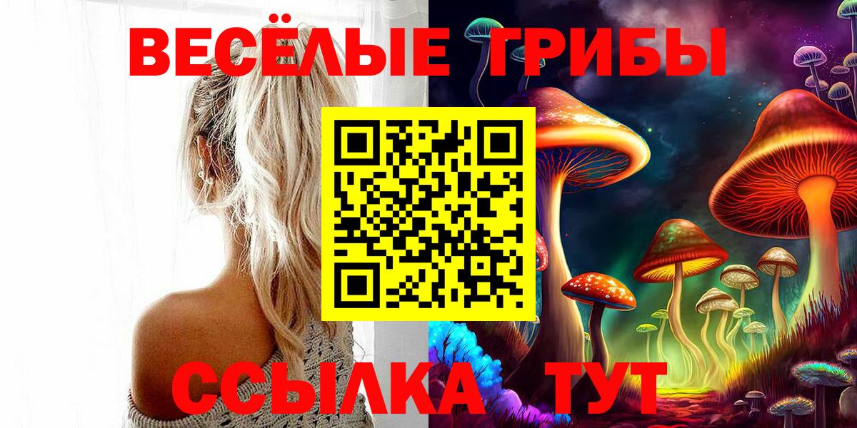Димитровград  Псилоцибиновые грибы мухоморы  купить наркотик  Вход с VPN 