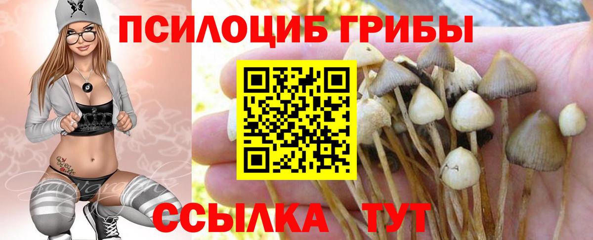 Псилоцибиновые грибы ЛСД Димитровград