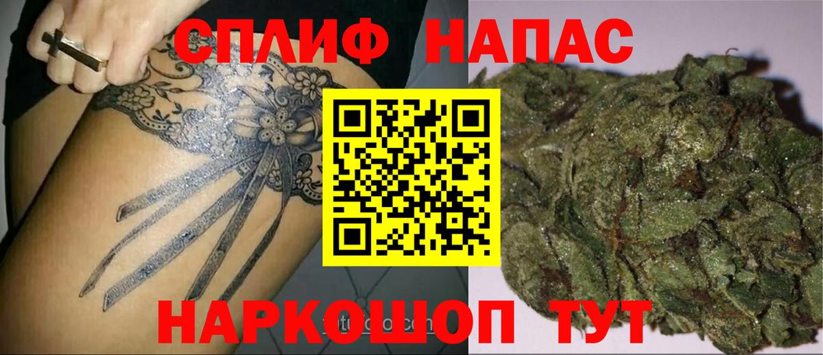 Бошки Шишки VHQ Димитровград
